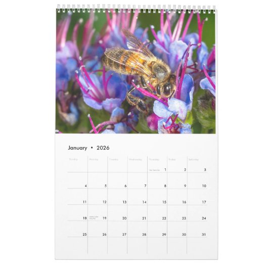 Nature's beauty: Small Sights Kalender (Jan 2026)