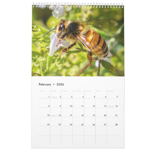 Nature's beauty: Small Sights | Nature Photography Kalender (Feb 2026)