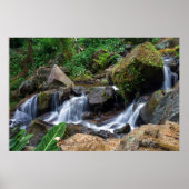 Nature's Bliss Poster (Vorne)