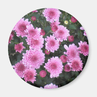 Nature's Bouquet: Frühjahrsmagnet Magnet