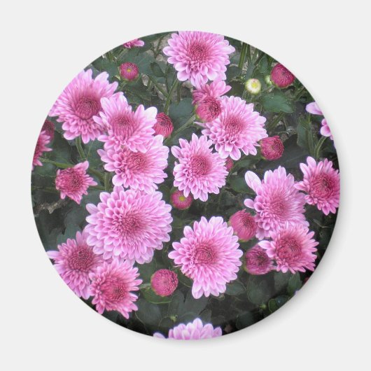 Nature's Bouquet: Frühjahrsmagnet Magnet (Vorne)