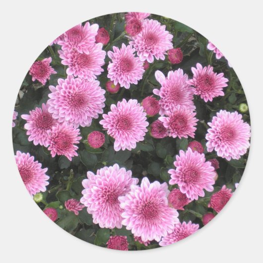 Nature's Bouquet: Frühlingsaufkleber Runder Aufkleber (Vorderseite)