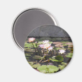 Nature's Bouquet Series: Sommermagnet Magnet (Vorderseite/Rückseite)