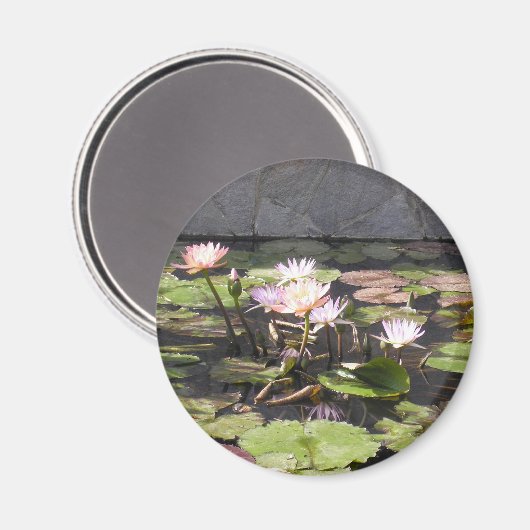 Nature's Bouquet Series: Sommermagnet Magnet (Vorderseite/Rückseite)