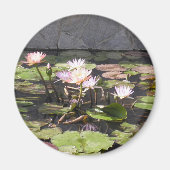 Nature's Bouquet Series: Sommermagnet Magnet (Vorne)