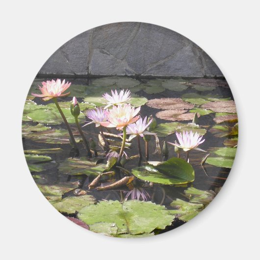 Nature's Bouquet Series: Sommermagnet Magnet (Vorne)