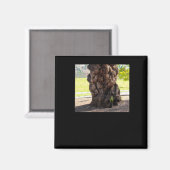 Nature's Bumpy Tree Sticker Magnet (Vorderseite/Rückseite)