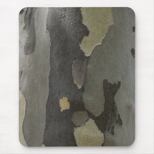 Nature's Camouflage - Sycamore Bark Mousepad (Vorne)