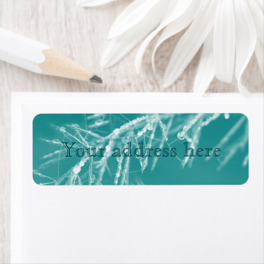 Natures Christmas Decorations (Insitu)