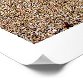 Nature's Elements - Driftwood Beach Poster (Ecke)