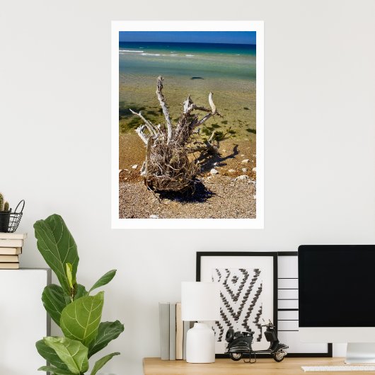 Nature's Elements - Driftwood Beach Poster (Heimbüro)