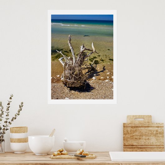 Nature's Elements - Driftwood Beach Poster (Küche)
