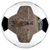 "Nature's Fast: A Wallaby's Snack Break" Fußball (Gedreht)