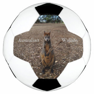 "Nature's Fast: A Wallaby's Snack Break" Fußball