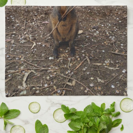 "Nature's Fast: A Wallaby's Snack Break" Geschirrtuch (Gefaltet)