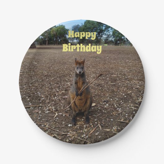 "Nature's Fast: A Wallaby's Snack Break" Pappteller (Vorderseite)