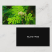 Natures Glory | Visitenkarte (Vorne/Hinten)