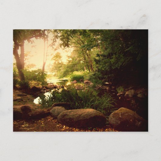 Natures Hideaway Postkarte (Vorderseite)