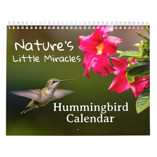 Nature's Little Miracles Hummingbirds Kalender (Titelbild)
