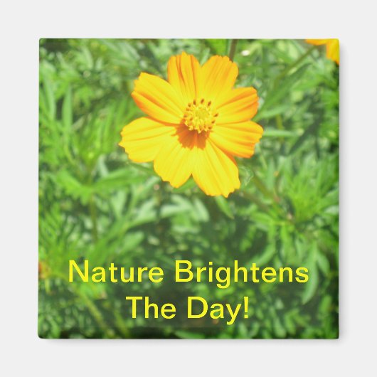 Natures Magnet (Vorne)