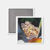 Natures Patterns Magnet (Vorderseite/Rückseite)