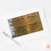 Nature's Reflections Custom Aufkleber (Umschlag)