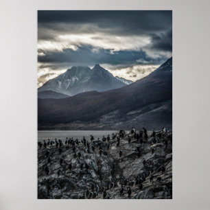 Nature's Symphony: Ein Portrait von Ushuaias Wild Poster