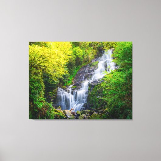Nature's Symphony: The Cascades of Killarney Leinwanddruck (Vorderseite)