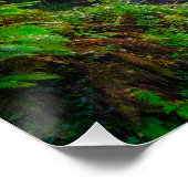 Nature's Symphony: The Cascades of Killarney Poster (Ecke)