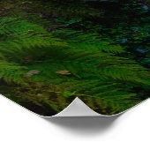 Nature's Symphony: The Cascades of Killarney Poster (Ecke)