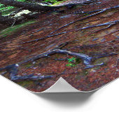 Nature's Treppenposter Poster (Ecke)