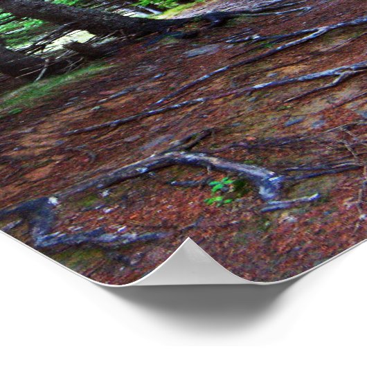 Nature's Treppenposter Poster (Ecke)