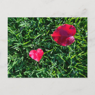 Natures valentine: heart shaped red leaf feiertagspostkarte