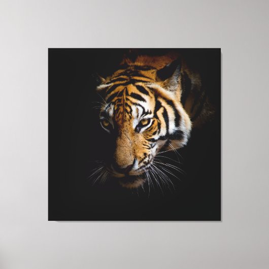 Nature's Wild Animals - Tiger Canvas Leinwanddruck (Vorderseite)