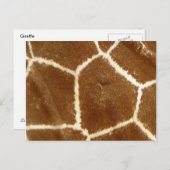 Naturetexturiertes Foto Giraffe Tierdruckmuster Postkarte (Vorne/Hinten)