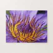 Naturethema Closetup Water Blume Closeup Puzzle (Horizontal)