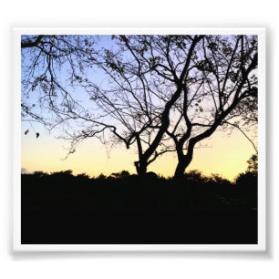 NATUREVERGLADES-FOTO FOTODRUCK