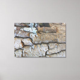 NATUREZA BRASIL LEINWANDDRUCK