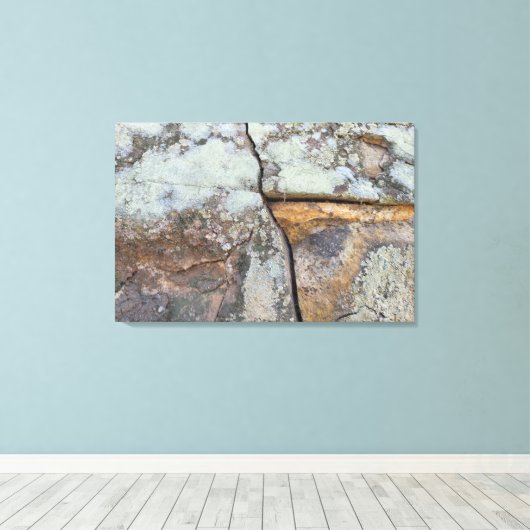 NATUREZA FORTE LEINWANDDRUCK (Insitu (Holzboden))