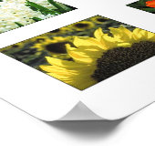 Naturfarben Poster (Ecke)