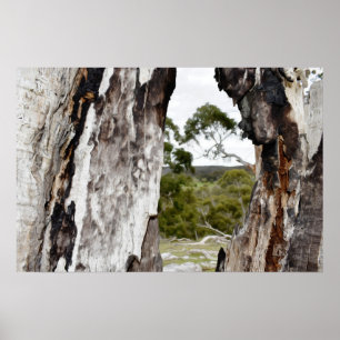 Naturfenster Poster