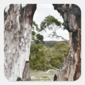 Naturfenster Quadratischer Aufkleber (Vorderseite)