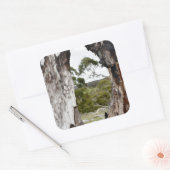 Naturfenster Quadratischer Aufkleber (Umschlag)