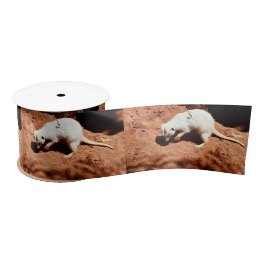 Naturforager: Weißes Meerkat-Graben für Busche Satinband (Spule)