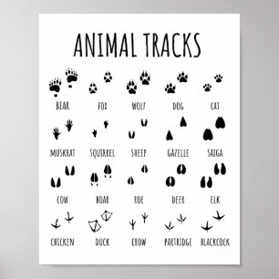 Naturforscher-Tierfährten-T-Shirt für Camping-Wand Poster