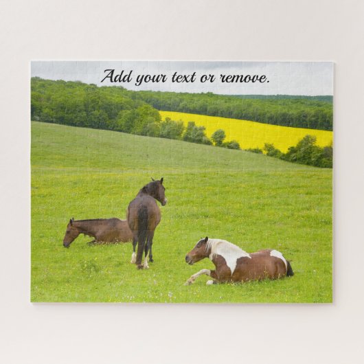 Naturfoto, Wildbraune Pferde auf einer Wiese: Puzzle (Horizontal)