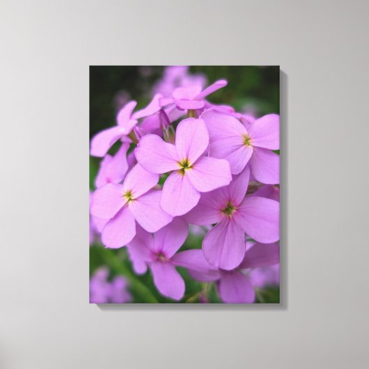 Naturfotografie auf Leinwand (Vorderseite)