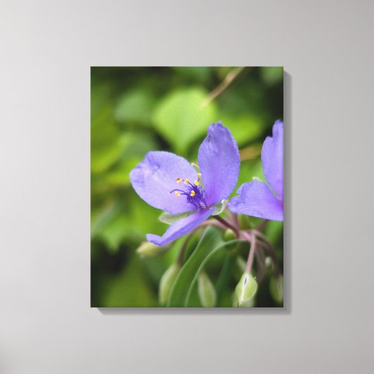 Naturfotografie auf Leinwand (Vorderseite)