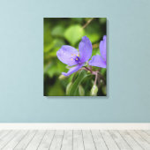 Naturfotografie auf Leinwand (Insitu (Holzboden))