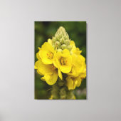 Naturfotografie auf Leinwand (Vorderseite)